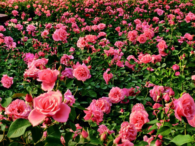 1780900925703483.png 图片7.png